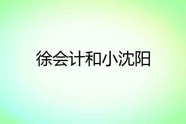 徐会计和小沈阳