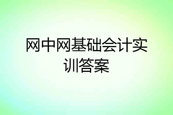 网中网基础会计实训答案