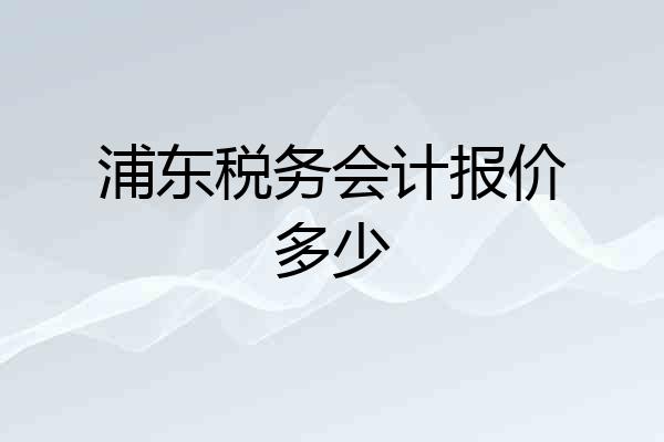 浦东税务会计报价多少