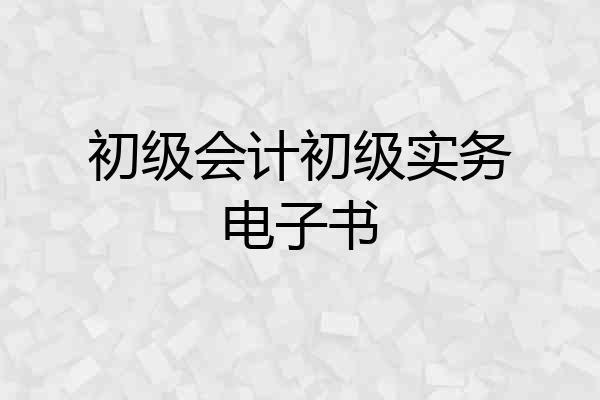初级会计初级实务电子书