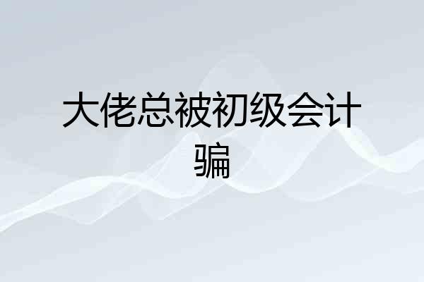 大佬总被初级会计骗