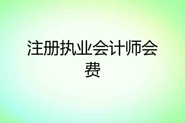 注册执业会计师会费