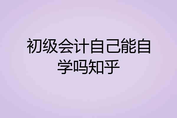 初级会计自己能自学吗知乎