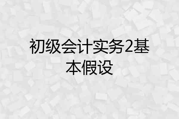 初级会计实务2基本假设