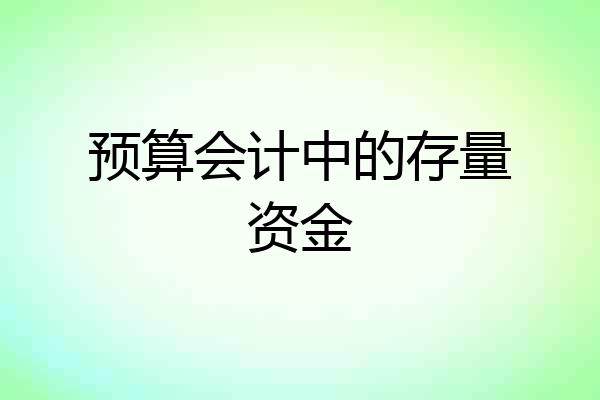 预算会计中的存量资金
