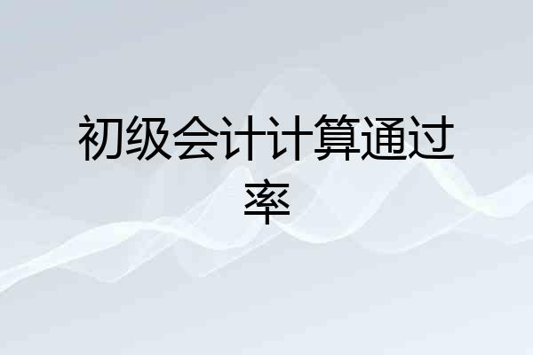 初级会计计算通过率
