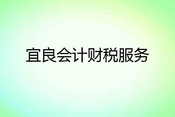 宜良会计财税服务