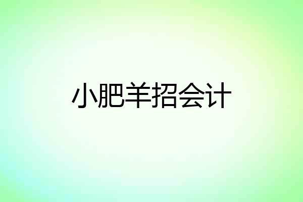 小肥羊招会计