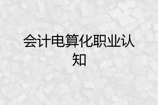 会计电算化职业认知