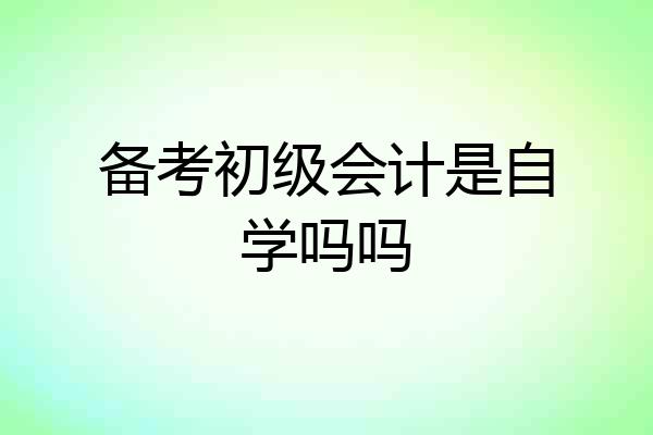 备考初级会计是自学吗吗