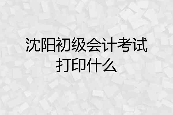 沈阳初级会计考试打印什么