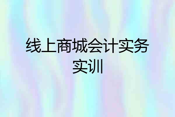 线上商城会计实务实训
