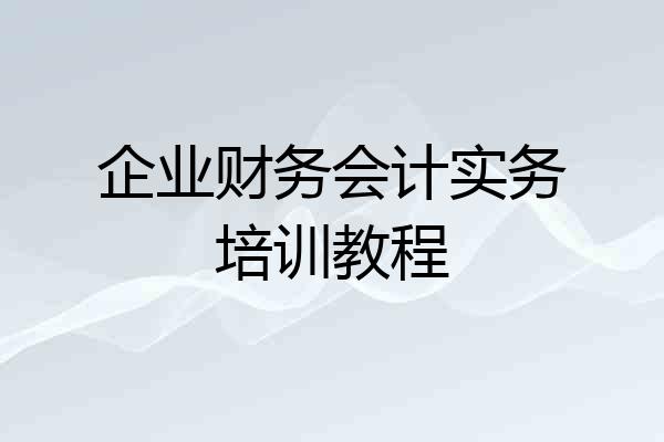 企业财务会计实务培训教程