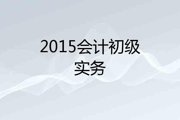 2015会计初级实务