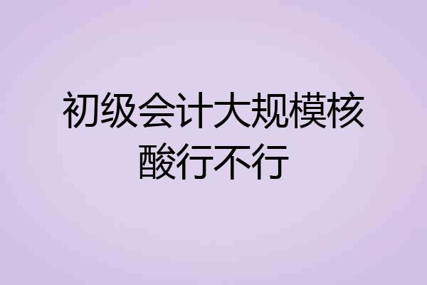 初级会计大规模核酸行不行