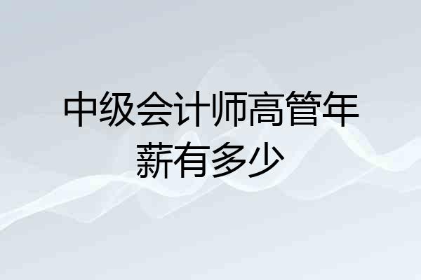中级会计师高管年薪有多少