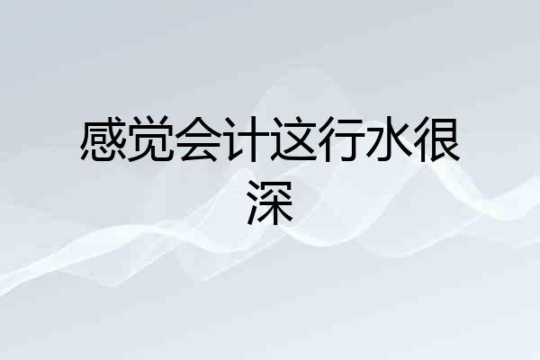 感觉会计这行水很深