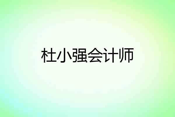 杜小强会计师