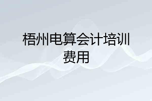 梧州电算会计培训费用