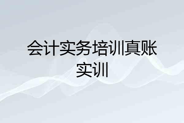会计实务培训真账实训