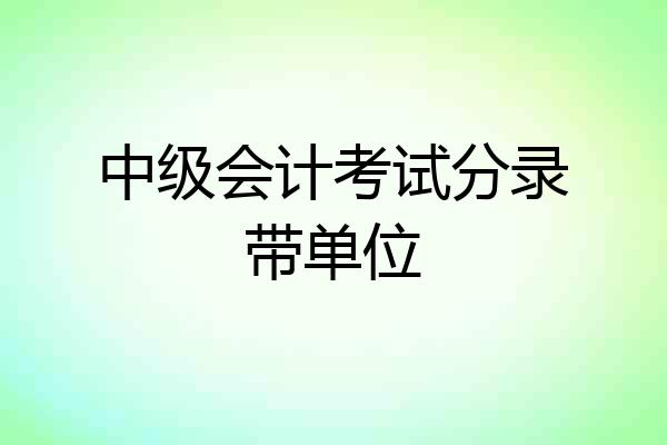 中级会计考试分录带单位