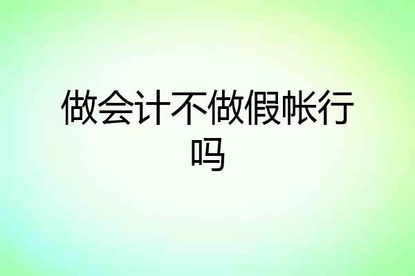 做会计不做假帐行吗