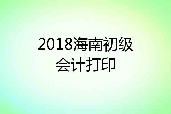 2018海南初级会计打印