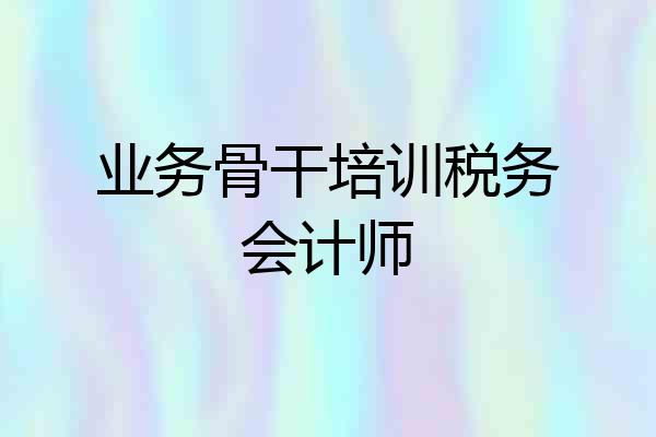 业务骨干培训税务会计师