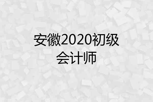 安徽2020初级会计师