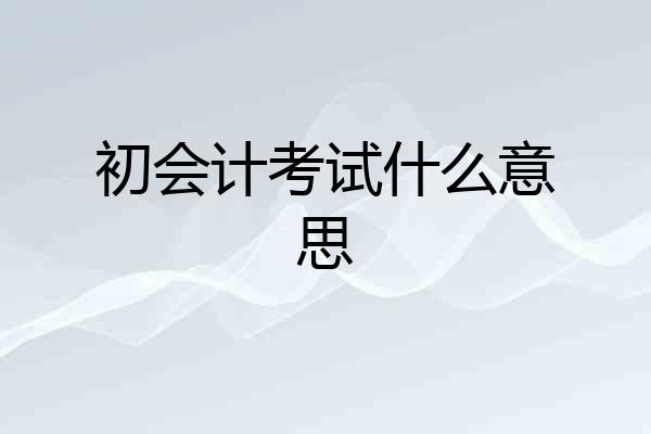初会计考试什么意思