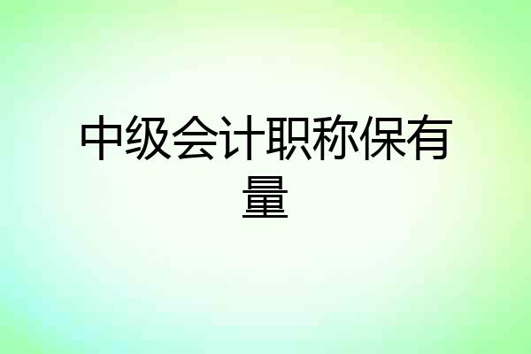 中级会计职称保有量