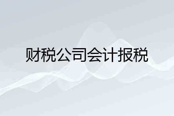 财税公司会计报税