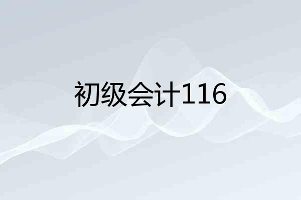 初级会计116