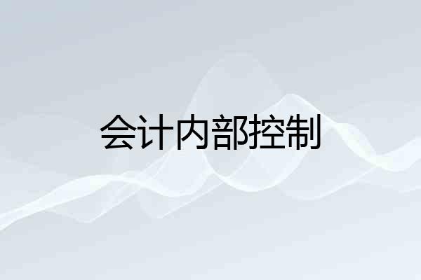 会计内部控制