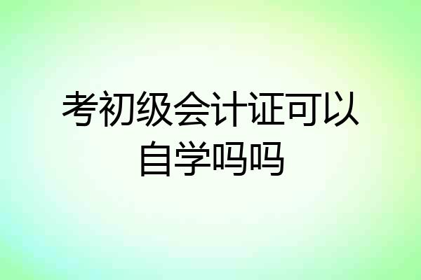 考初级会计证可以自学吗吗