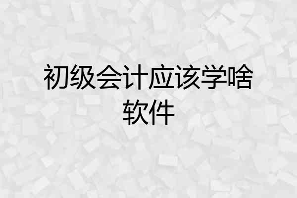 初级会计应该学啥软件