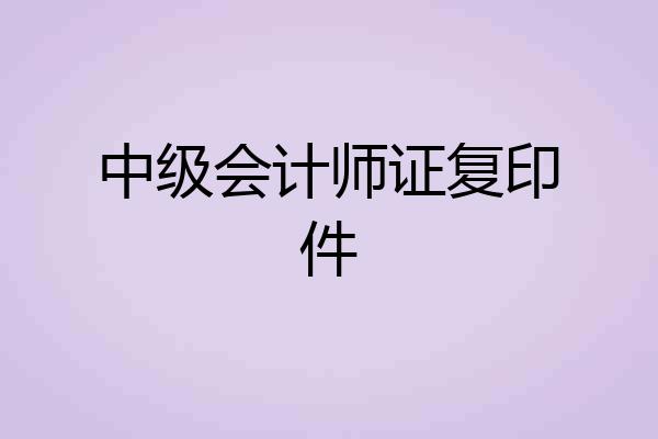 中级会计师证复印件