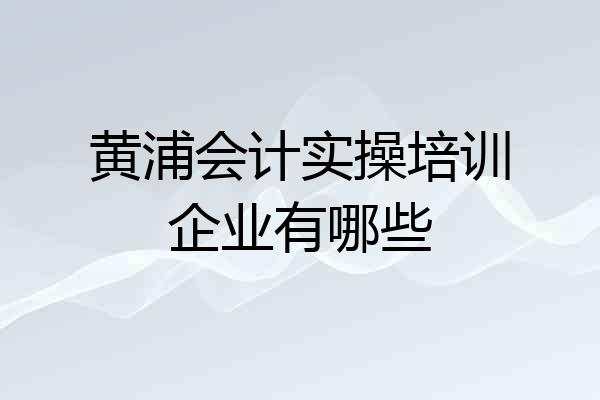 黄浦会计实操培训企业有哪些