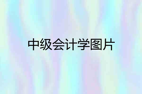 中级会计学图片