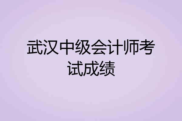 武汉中级会计师考试成绩