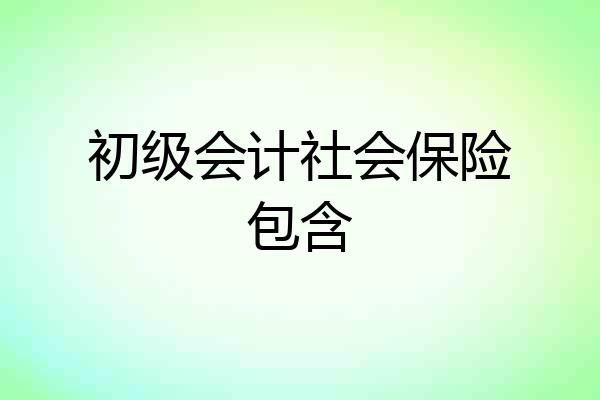 初级会计社会保险包含