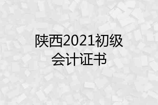 陕西2021初级会计证书