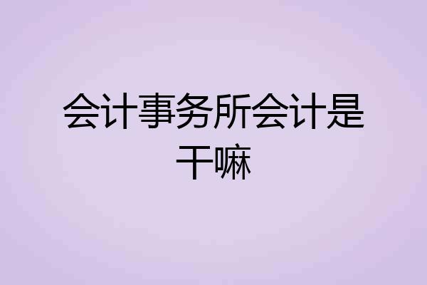 会计事务所会计是干嘛