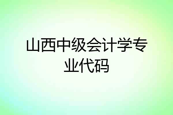 山西中级会计学专业代码