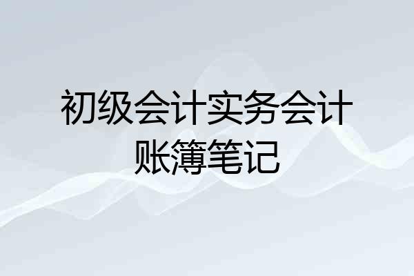 初级会计实务会计账簿笔记