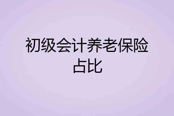 初级会计养老保险占比