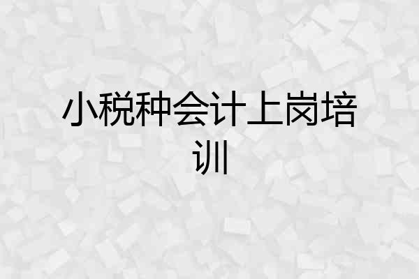 小税种会计上岗培训