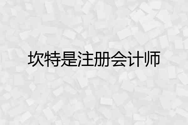 坎特是注册会计师