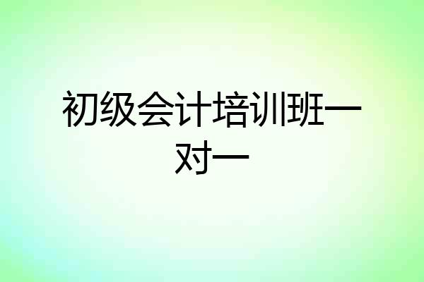 初级会计培训班一对一