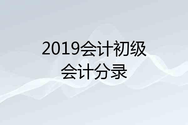 2019会计初级会计分录